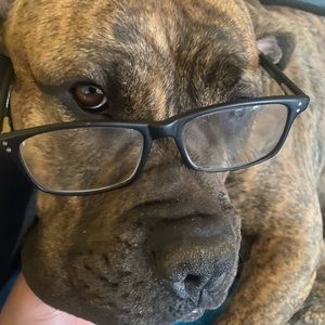 Meet your Posher, Percy